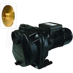 Burcam Pumps 70 GPM 2 HP Cast Iron Lawn Sprinkler/Irrigation Pump w/ Brass Impeller