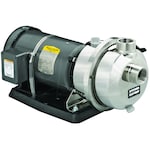 Pacer IPW Series - 180 GPM (1-1/2