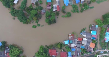 Best Electric-Powered Trash Water Pumps