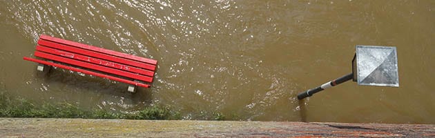 Flooded Park With Bench