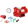 Red Lion Convertible Pumps