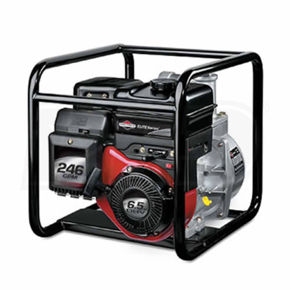 Briggs & Stratton 073003