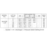 Lancaster Pump SKS100