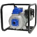 IPT Pumps 3S5XHR - 290 GPM (3