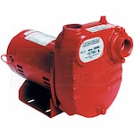 Red Lion 45 GPM 1/2 HP Cast Iron Surface Effluent Pump