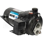 Wayne CWS100 - 1 HP Cast Iron Convertible Well Jet Pump