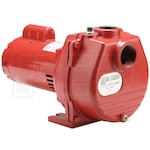 Red Lion 58 GPM 3/4 HP Self-Priming Cast Iron Sprinkler Pump (Scratch & Dent)