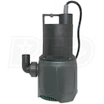 Burcam Pumps 37 GPM (1-1/4