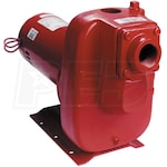 Red Lion 124 GPM 3 HP Self-Priming Cast Iron Sprinkler Pump (Scratch & Dent)
