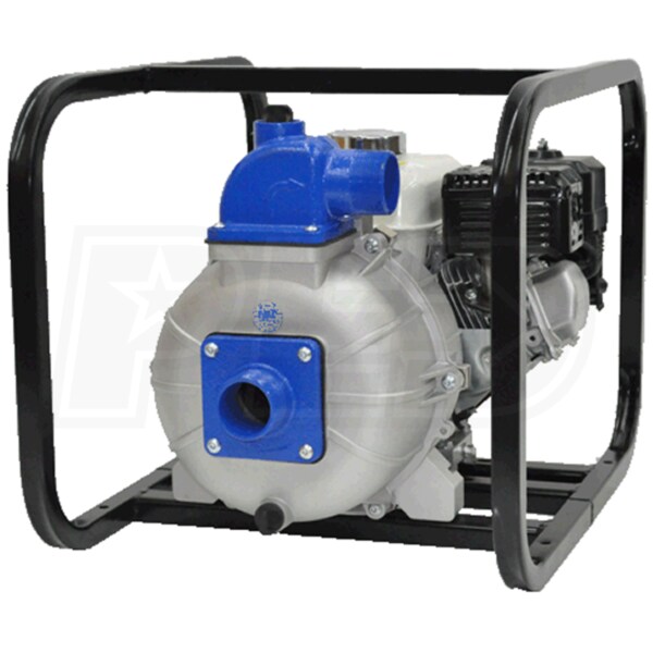 IPT Pumps 2S5XZR